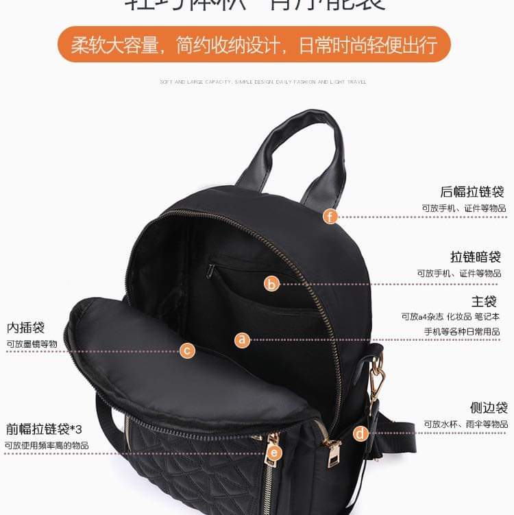 B094, Diamond Embroidered Thread Backpack Women's 2024 New Women's Backpack Korean Version Versatile Large Capacity Water-Repellent Travel Backpack